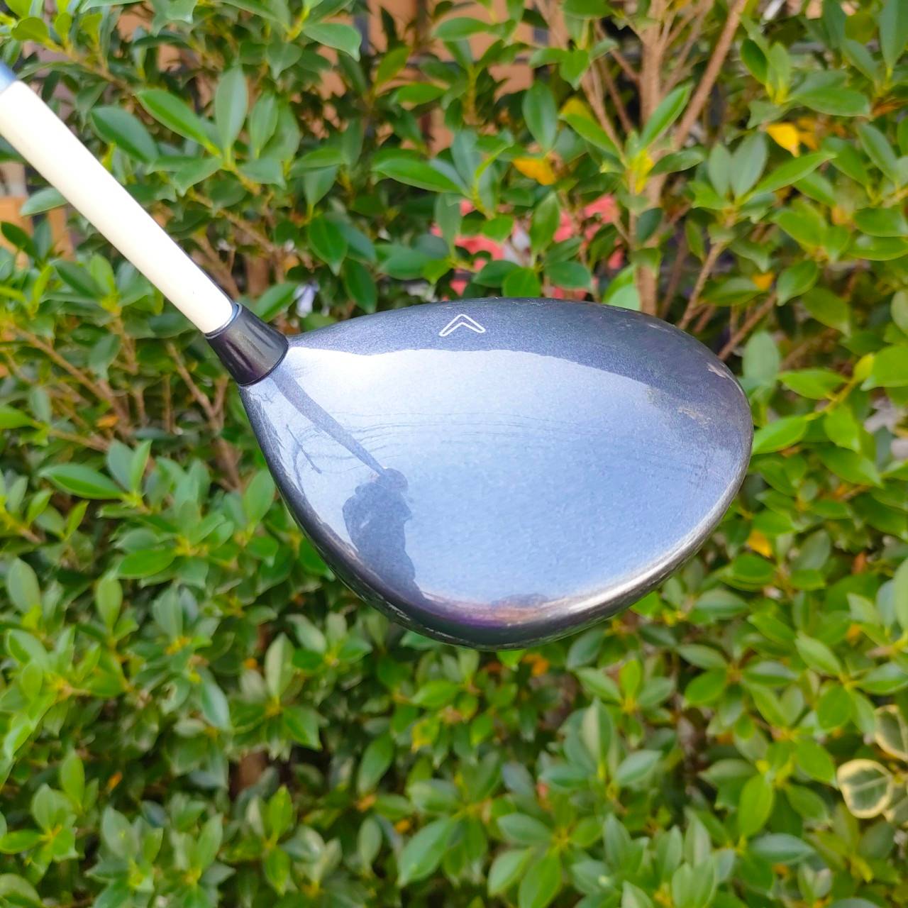 DRIVER CALLAWAY BIG BERTHA STEEL HAD III ก้าน SYSTEM II FLEX LADY องศา 11 สภาพสวย ตีง่ายๆ เหมาะกับสุภาพสตรีมากครับ