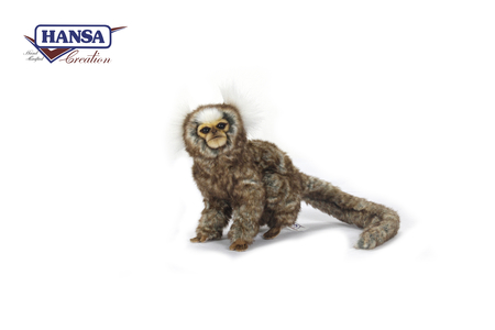 7059 White Eared Marmoset 23 cm.L