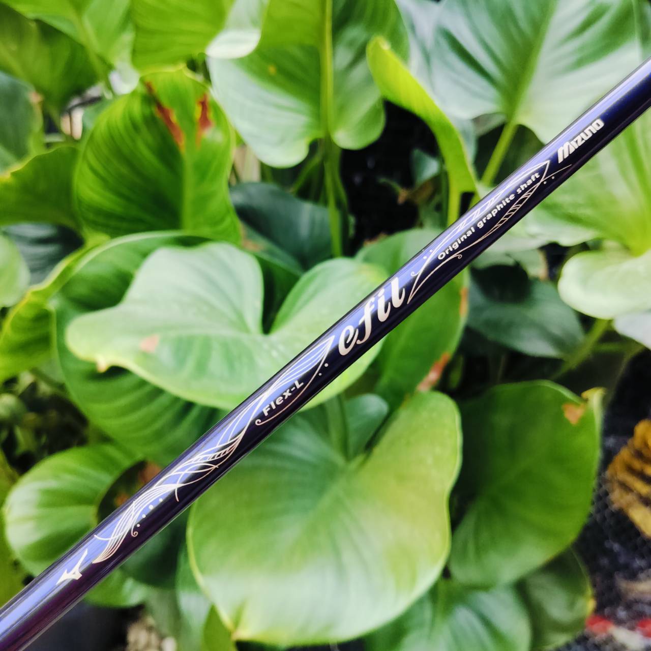 *** ไม้กอล์ฟสำหรับผู้หญิง *** เหล็ก 8 MIZUNO EFIL ก้านเบามากสำหรับผู้หญิง สำหรับคุณผู้หญิงที่สวิงไม่แรง ไม้กอล์ฟพรีเมี่ยมมือสอง ของแท้ By NakaraLuxurious