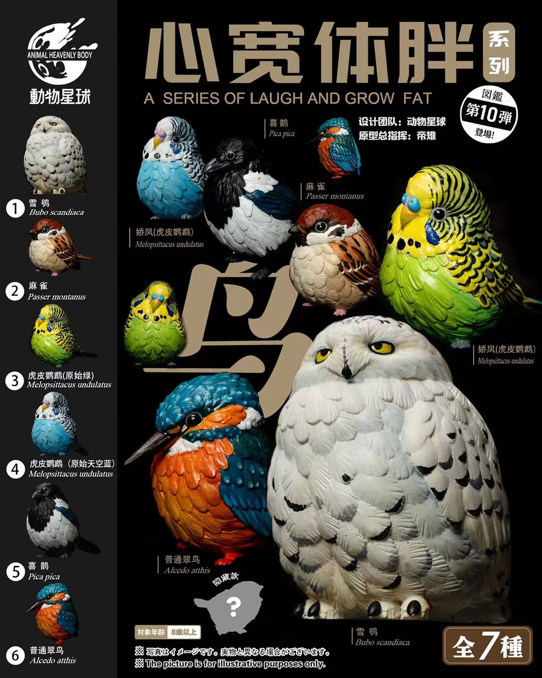 [สั่งจอง]Animal Planet : a series of laugh and grow fat No.10 -Bird