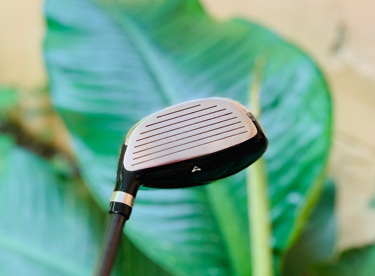 FAIRWAY 5 WILSON องศา 19