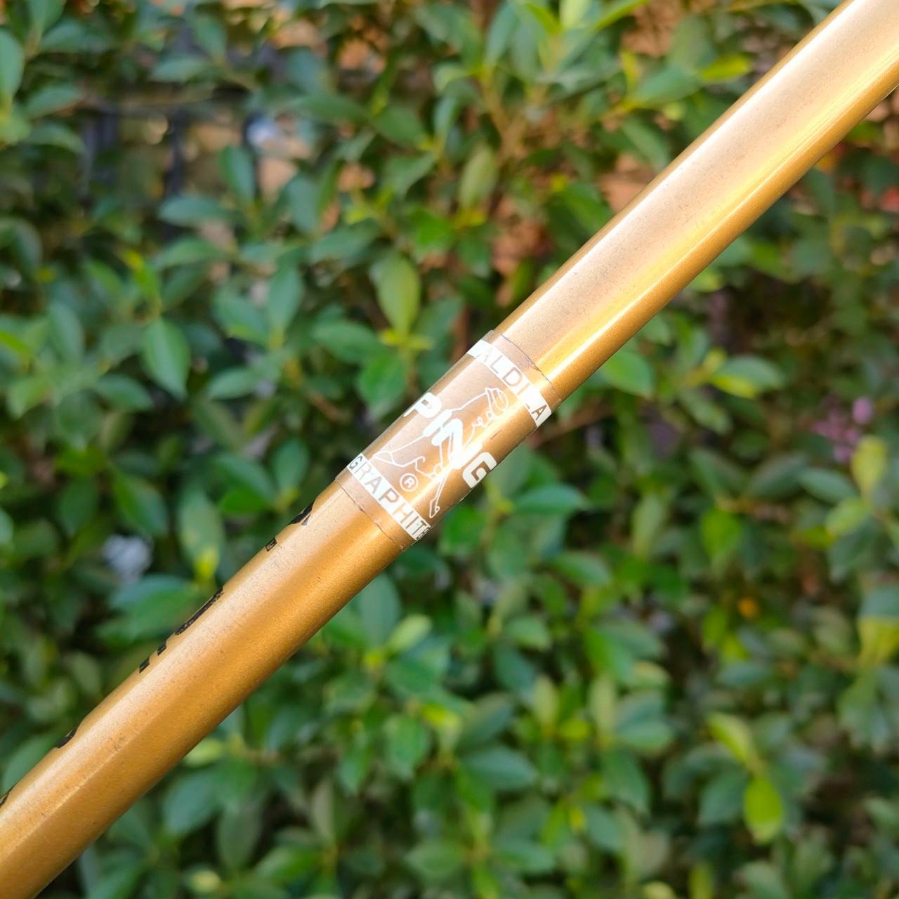 ชุดเหล็ก PING EYE 2 PLUS จุดส้ม มีเหล็ก 3 - 9 เเละ PW SW ก้าน ALDILA PING FLEX R