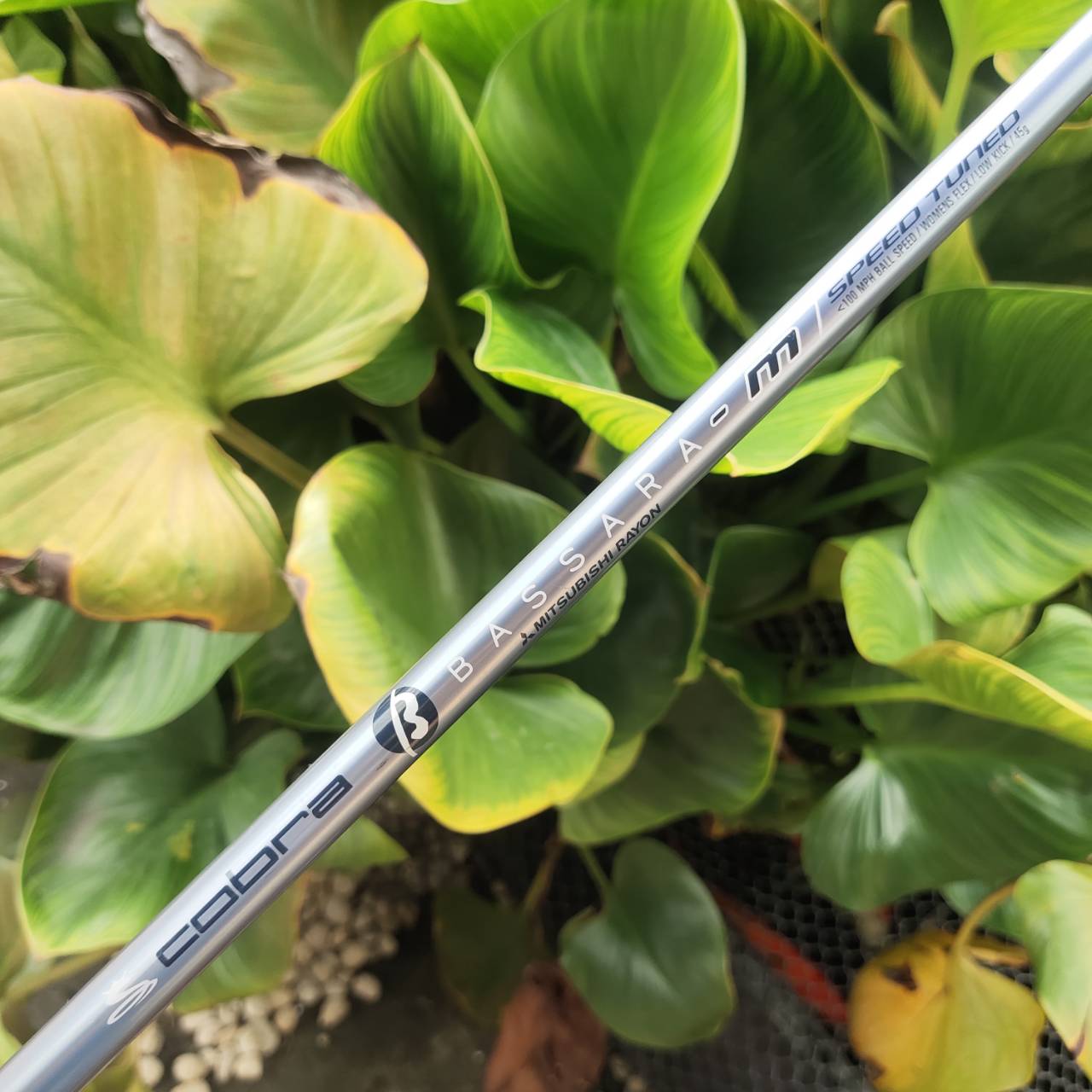 ไม้กอล์ฟผู้หญิง 3W - KING COBRA M/SPEED OFFSET หน้าเด้งมาก กระดองเด้งด้วย