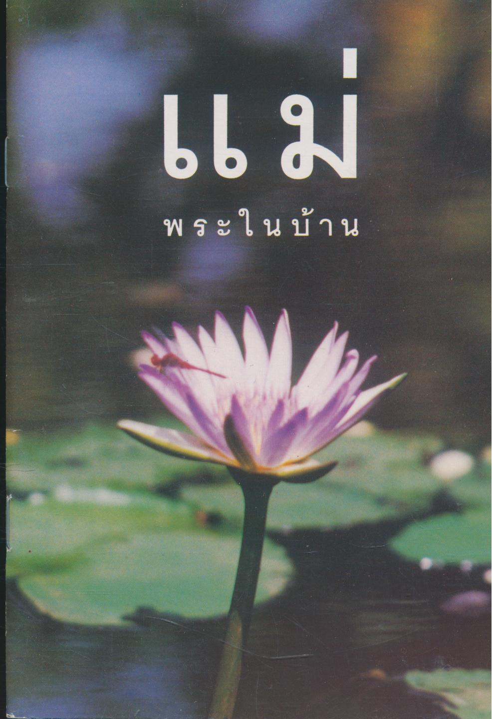 แม่พระในบ้าน