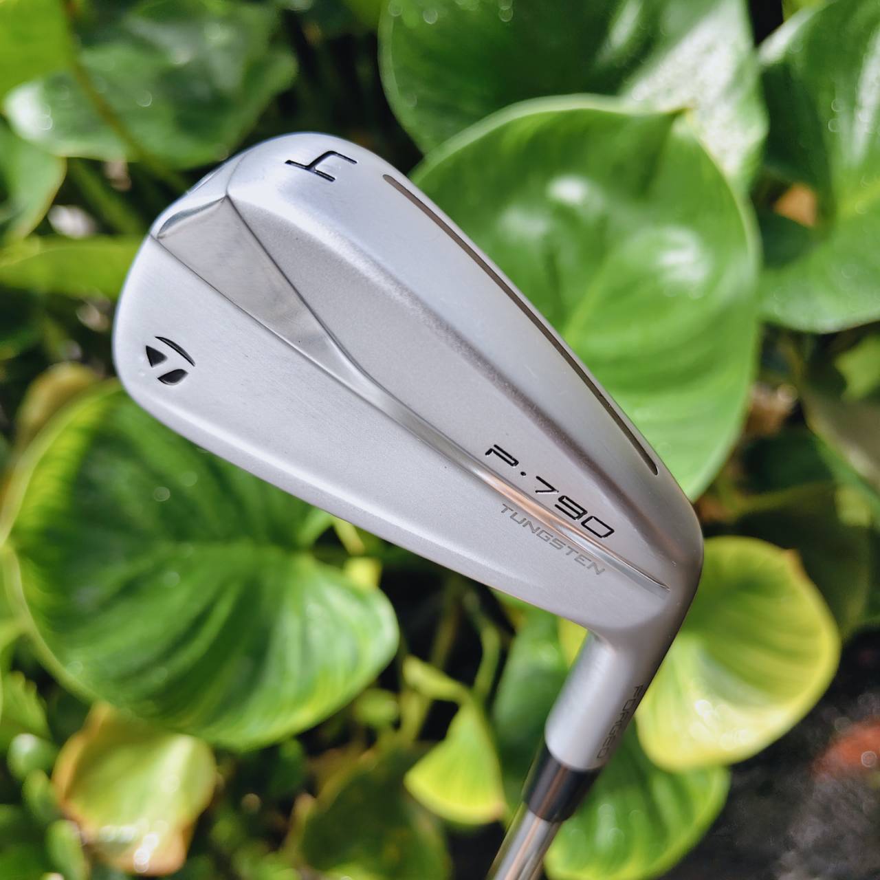 Iron #4 TaylorMade P•790 สุดยอดเหล็กเทคโนโลยีที่ผสาน “ระยะ + ฟีลลิ่ง” ได้อย่างลงตัว