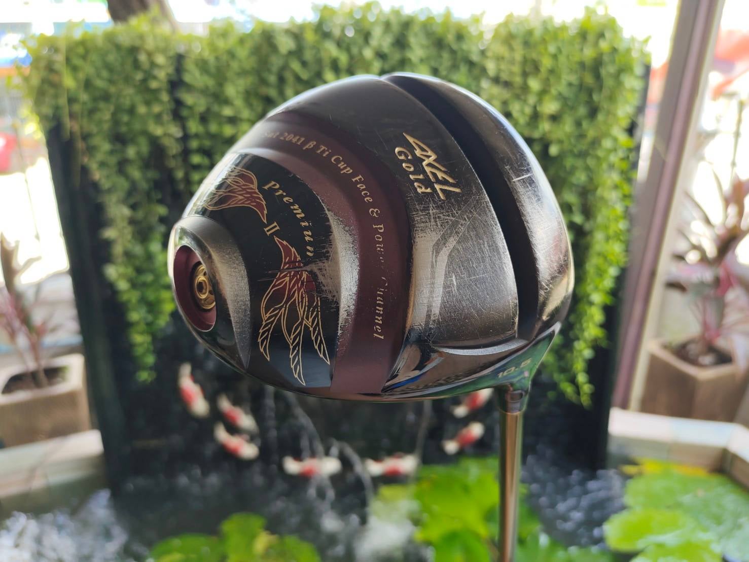 TSURUYA AXEL GOLD PREMIUM II