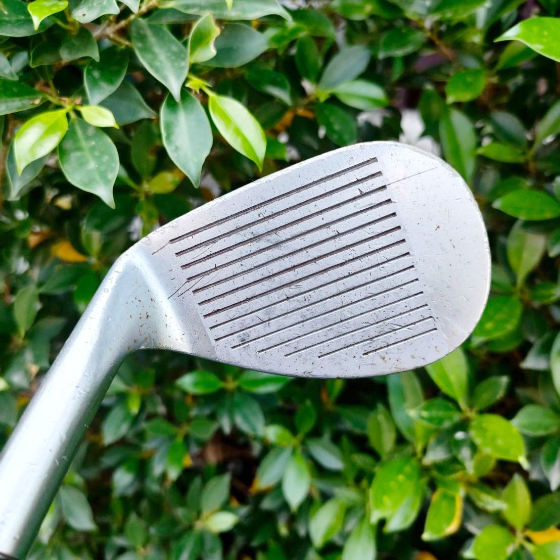 องศา 56 TAYLORMADE TP-TOUR ก้าน DYNAMIC GOLD S300