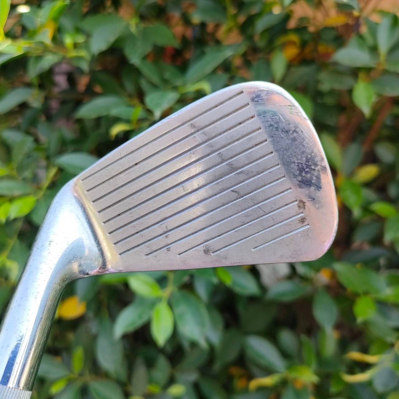 เหล็ก7 WILSON TMICKEY WRIGHT GREST ก้าน LITE STEEL FLRX R เหล็ก FORGED ใบใหญ่ นุ่ม เดิมๆ