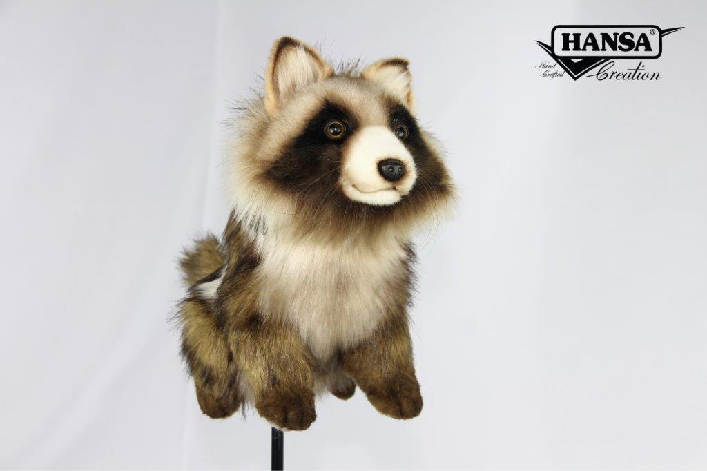 8497 Racoon Dog Golf Cover Wood