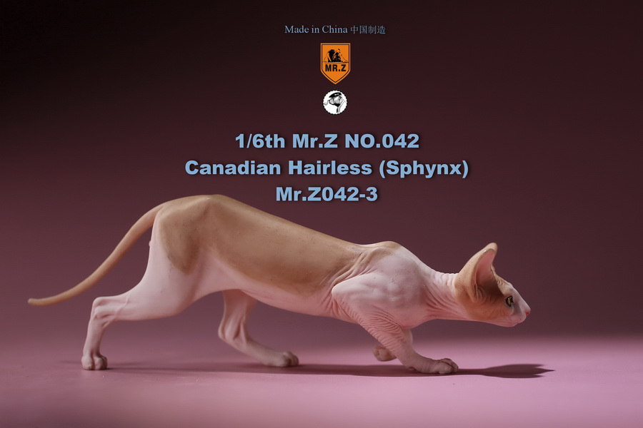 [สั่งจอง]แมวสฟิงก์ แมวน้อยขนกลับด้าน 1/6 Mr. Z Animal Model No.42: 1/6th Canadian Hairless (Sphynx)