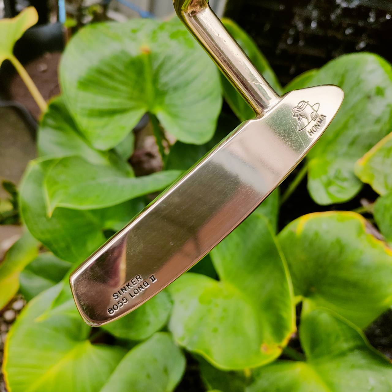 Honma CB8055 Long II Putter Copper Gold Excellent JDM Japan Rare Beautiful Blade Hiro Honma Made In Japan SAKATA