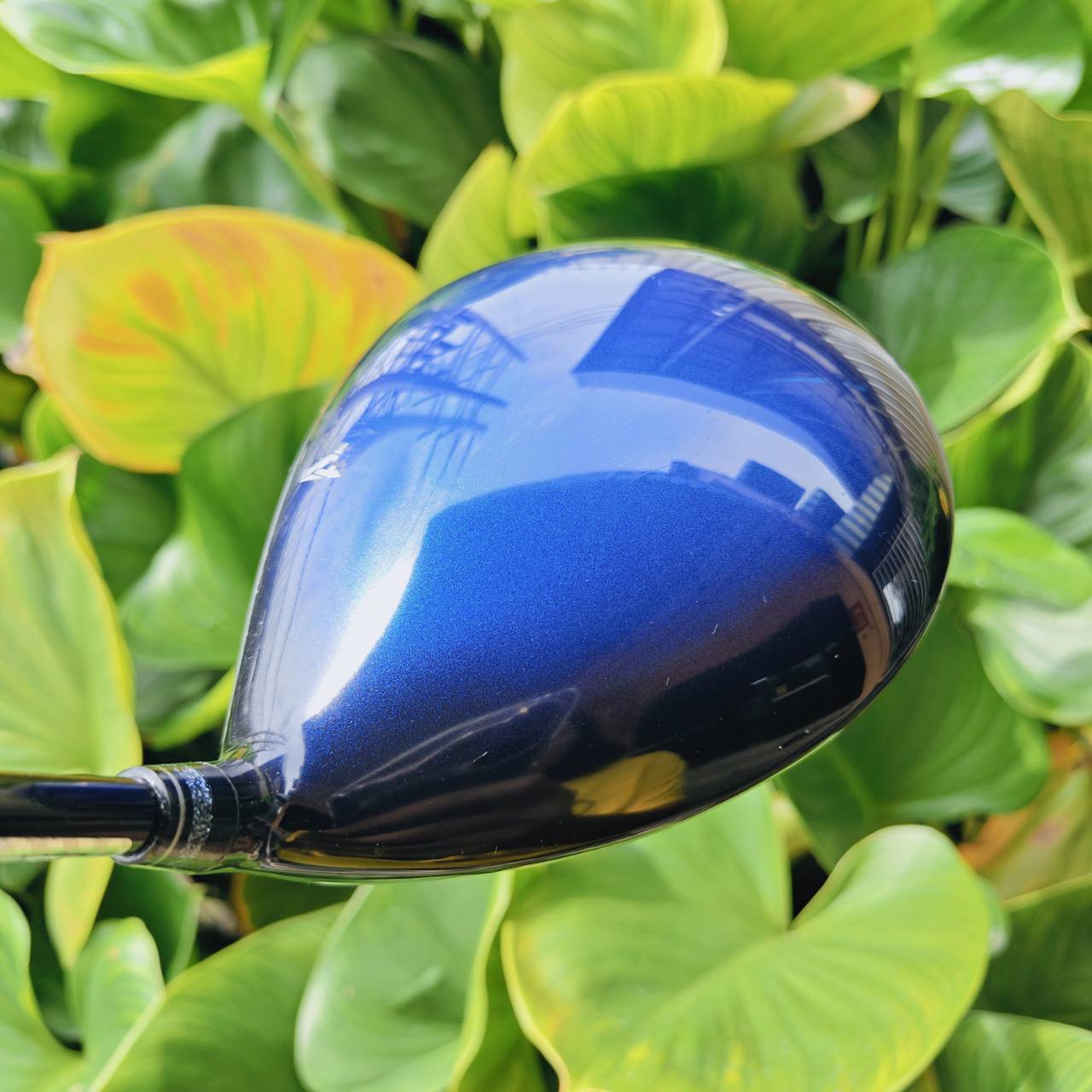 XXIO ELEVEN Driver (ก้าน MP1100K Flex S) Titanium Face (Super-TIX® 51AF) → บาง ให้แรงดีดสูงมาก