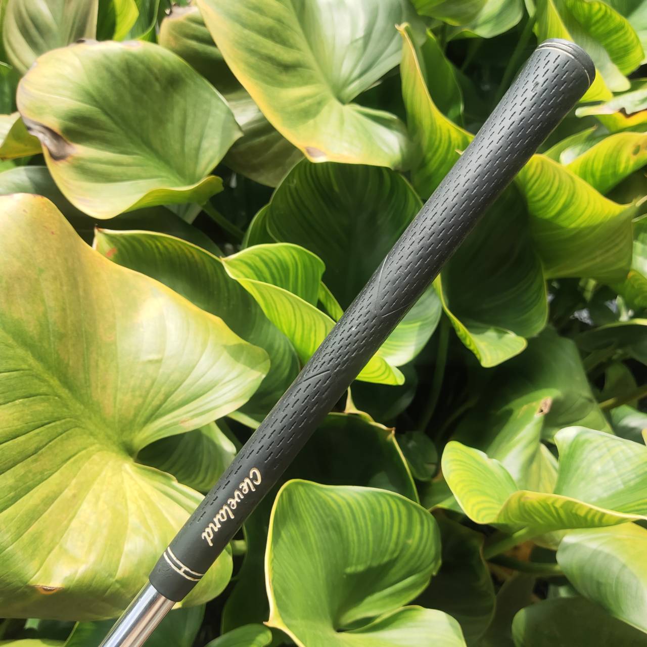 WEDGE Cleveland CG15 – 52° Bounce 10 Zip Groove ร่องสี่เหลี่ยมเหมือนซิป โหดจัด!!