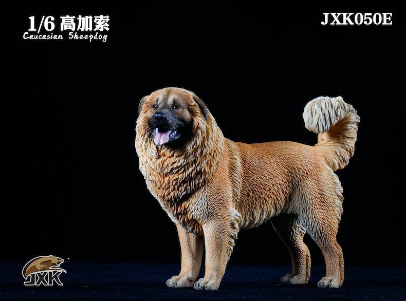 [สั่งจอง]JXK JXK050 1/6 : Caucasian Sheepdog
