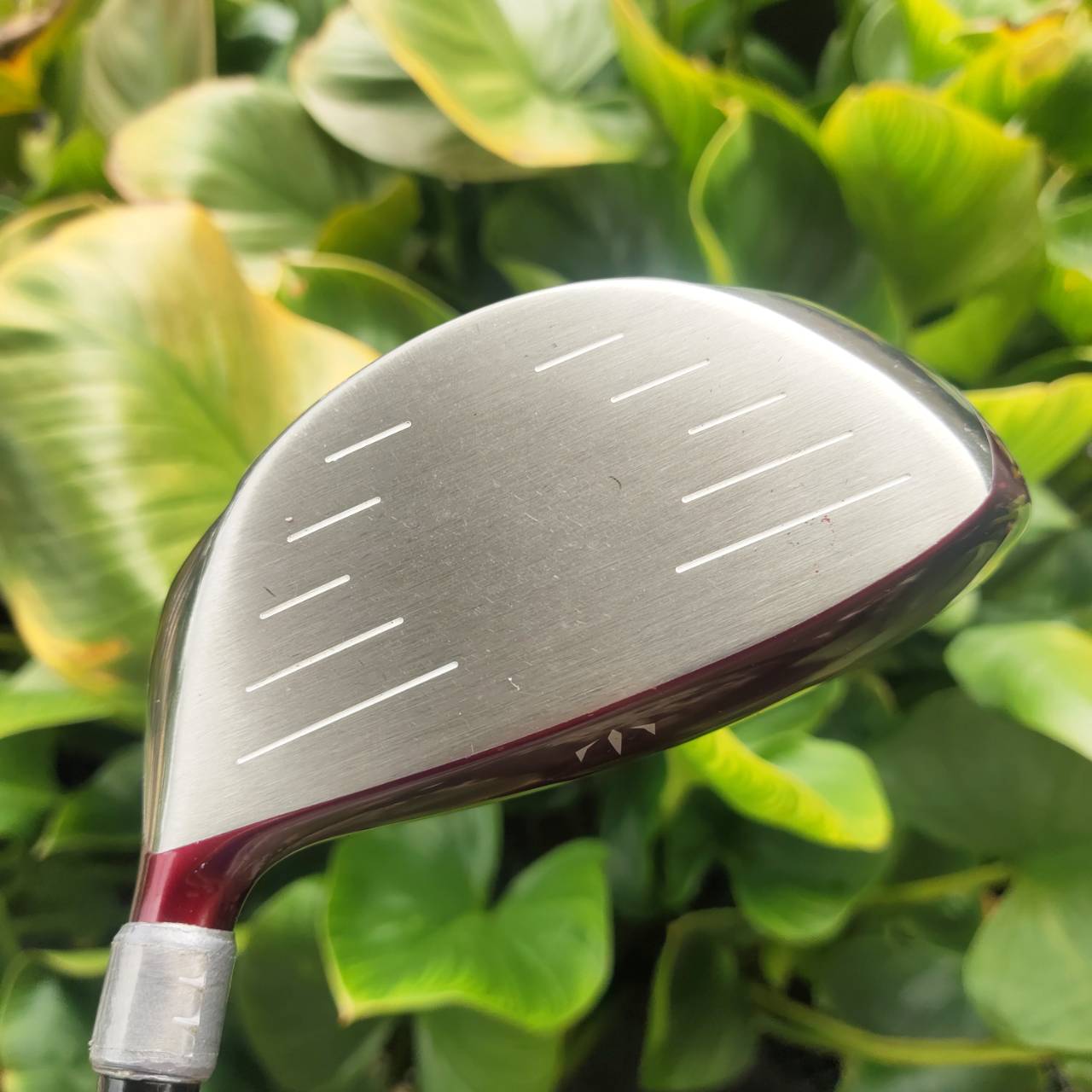 KASCO D-MAX PYRA LADY 11.5° Driver สำหรับคุณผู้หญิงที่อยากตีไกลขึ้นแบบ effortless!