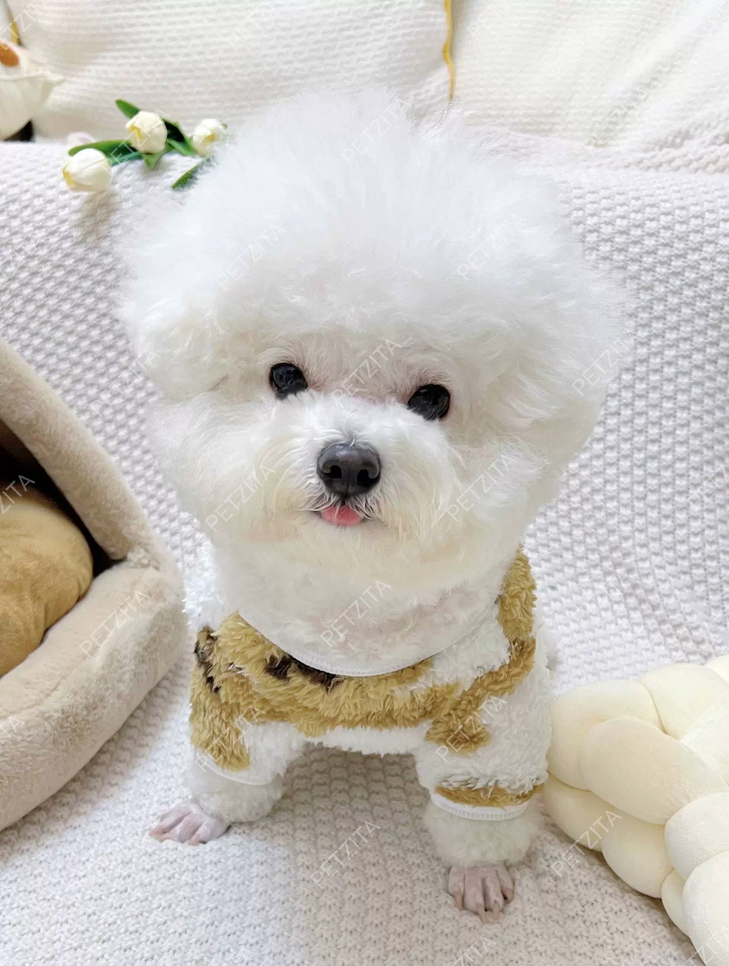 🇹🇭พร้อมส่ง🇹🇭 🐶🐕 เสื้อผ้าสำลีขนปุยนุ่มนิ่ม สำหรับ สุนัขพันธุ์กลาง ถึง หมาใหญ่