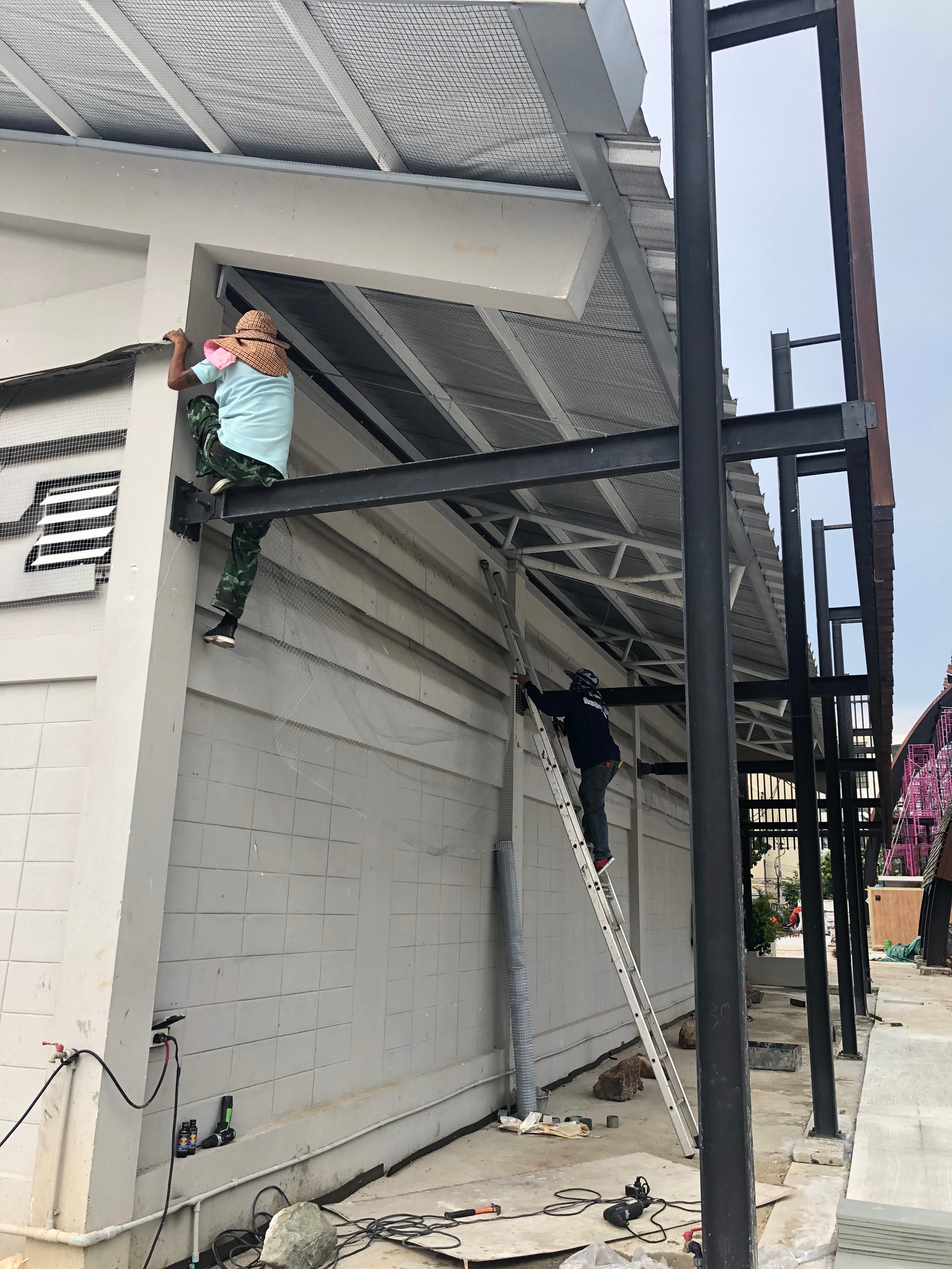 งานติดตาข่ายกันนก ตึกกายวิทยาทาน มหาวิทยาลัยมหิดล