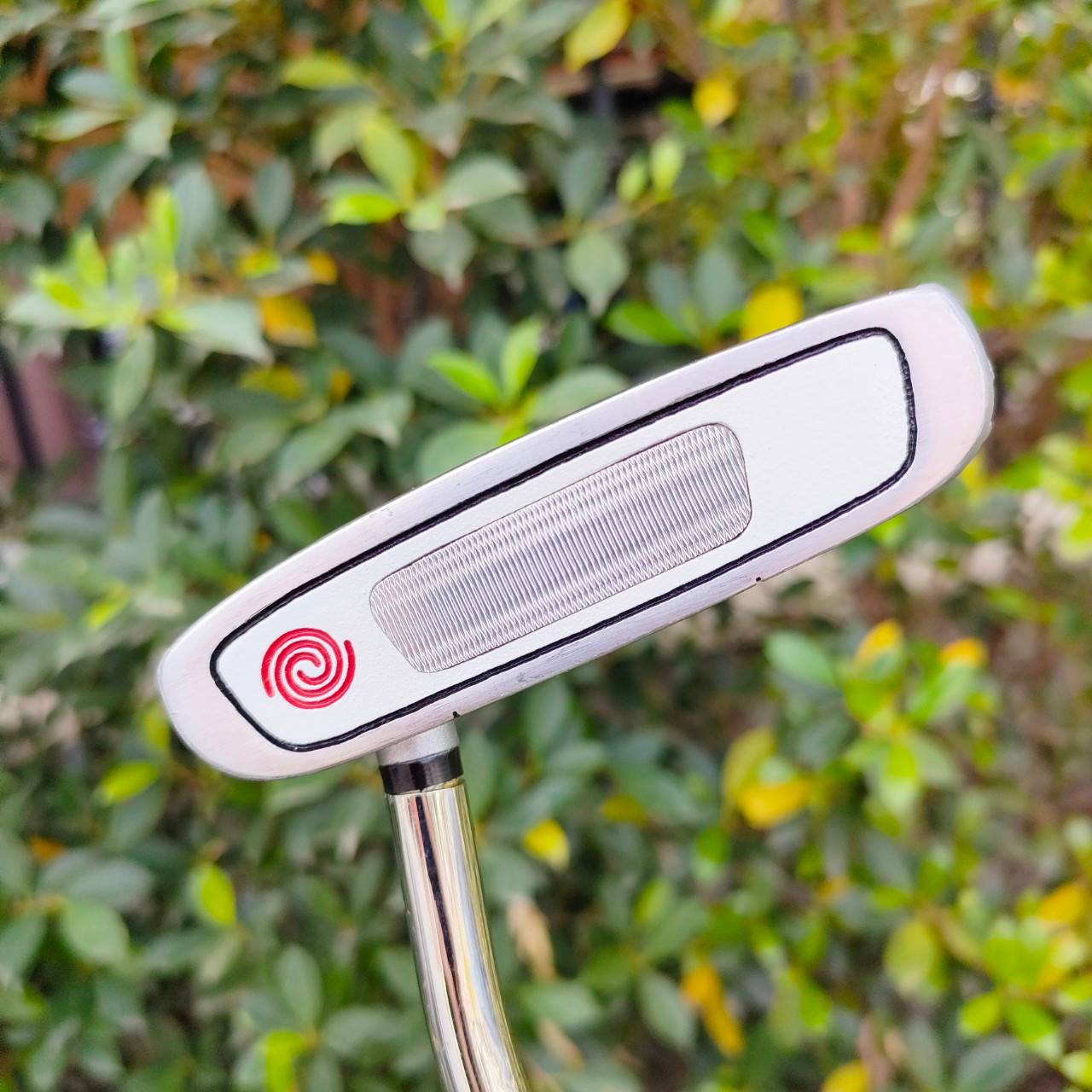 PUTTER ODYSSEY 2-BALL WHITE STEEL ความยาว 34 นิ้ว ก้าน WHITE STEEL