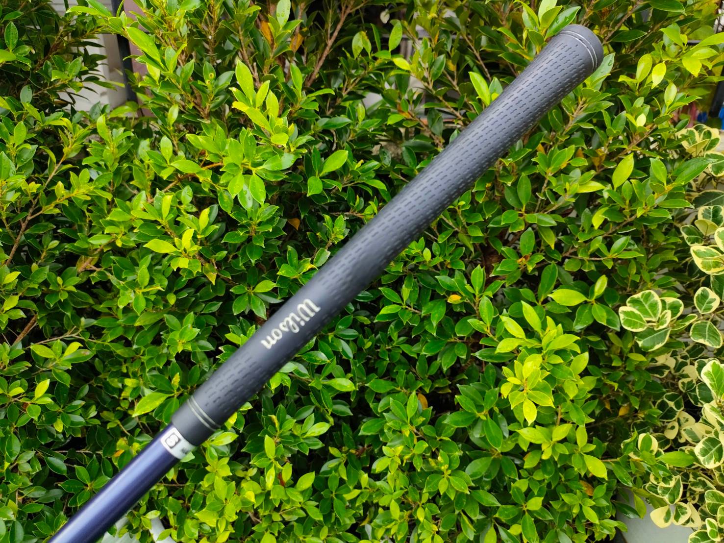 Driver WILSON AVIATOR