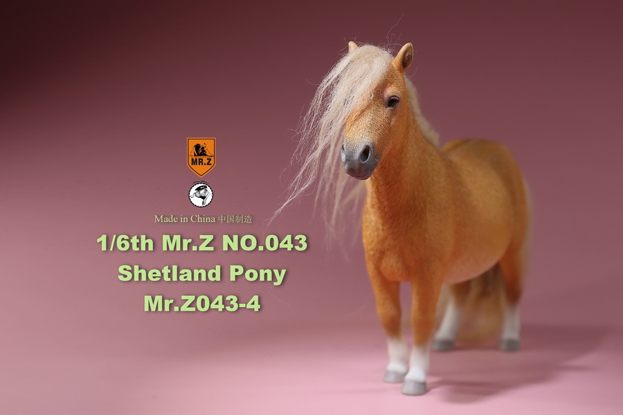 [สั่งจอง]น้องม้าน้อยโพนี่ 1/6 MR. Z Animal Model MRZ043 1/6th Shetland Pony(all 5 colors)