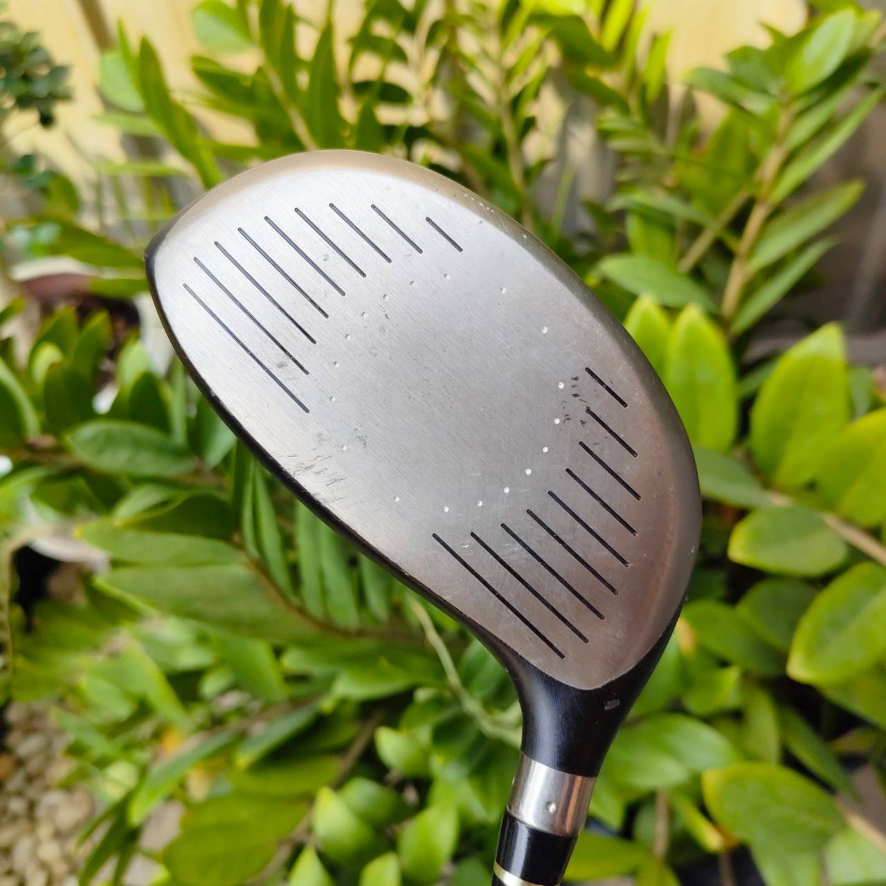 *** ไม้กอล์ฟสำหรับท่านที่ถนัดซ้าย *** DRIVER NIKE SQ SUMO องศา 9.5 ก้าน DIAMANA SASQUATCH FLEX R ตีตรงสุดขีด ไม้กอล์ฟพรีเมี่ยมมือสอง By NakaraLuxurious