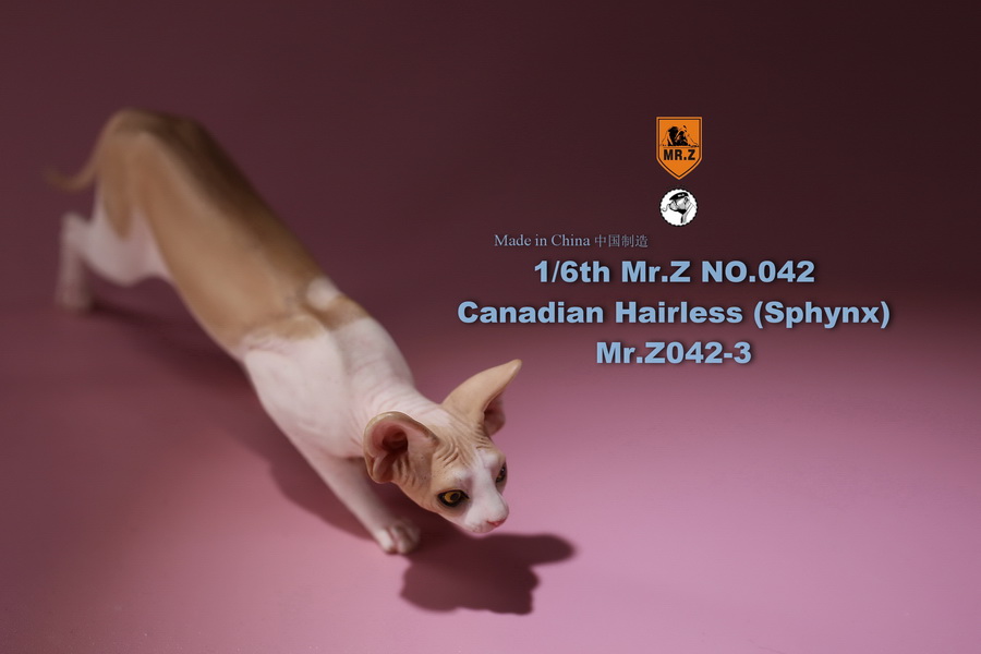 [สั่งจอง]แมวสฟิงก์ แมวน้อยขนกลับด้าน 1/6 Mr. Z Animal Model No.42: 1/6th Canadian Hairless (Sphynx)