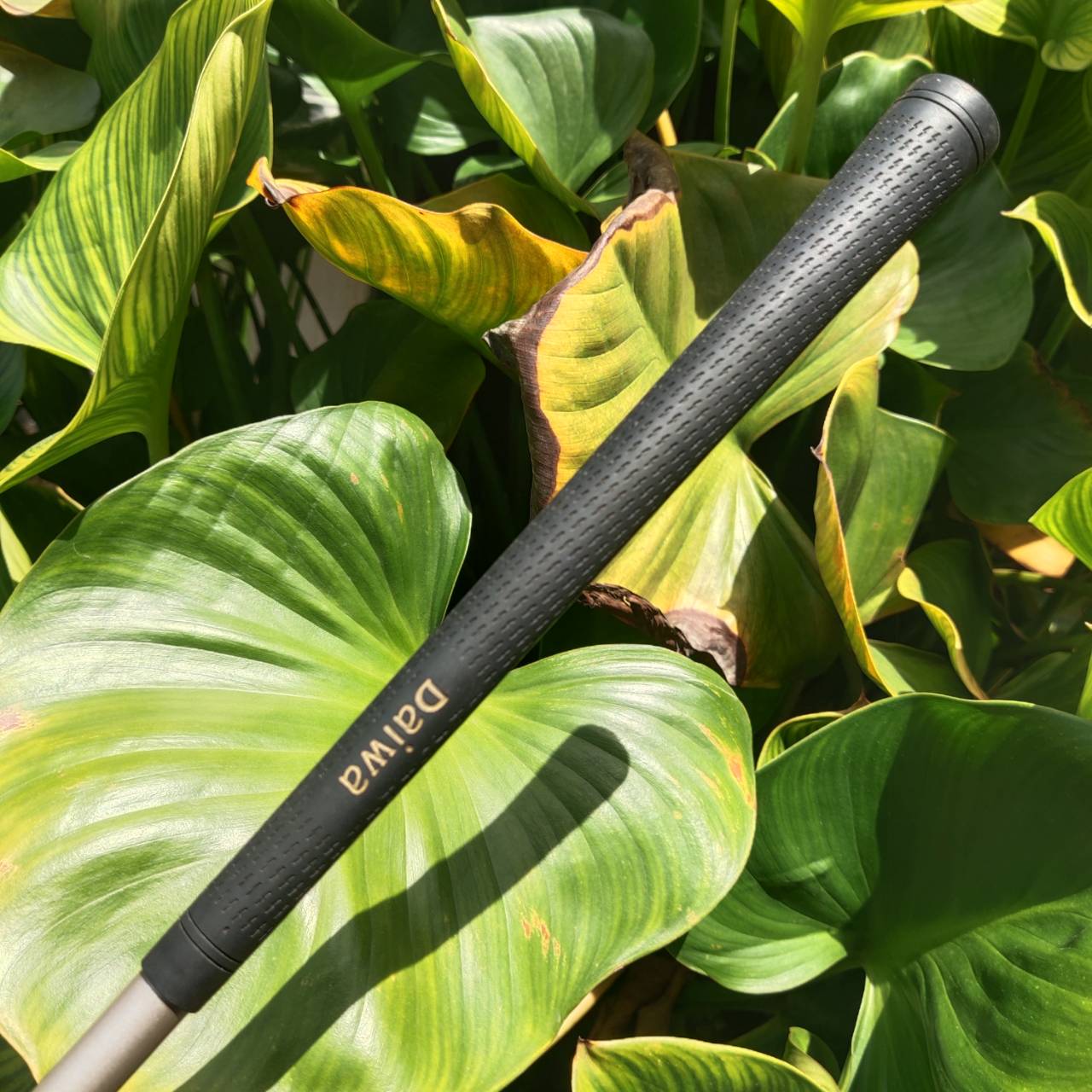 *ไม้กอล์ฟผู้หญิงครบชุด* DAIWA ADVISOR LADY พรีเมี่ยมญี่ปุ่น ออกแบบให้ตีง่ายมากที่สุด