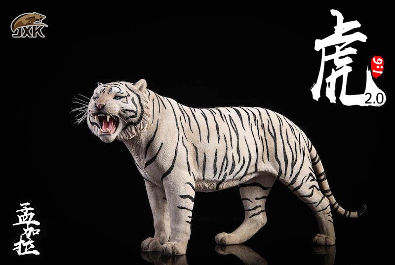 [สั่งจอง]JXK.Studio 1/6 JXK020A yellow Bengal tiger & JXK020B white Bengal tiger