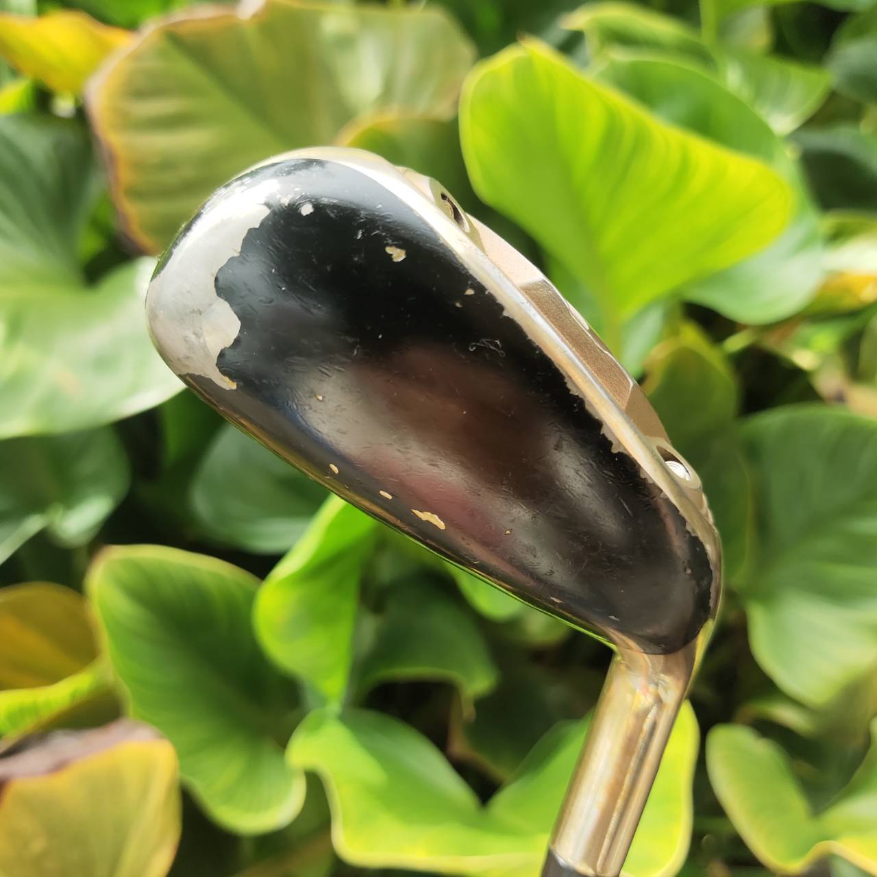 U8 VOLTIO G SERIES องศา 32 ก้าน ก้าน TOUR AD VT-5 FLEX R2 หน้าเด้ง!! ตีไกลเต็ม MAX!!!