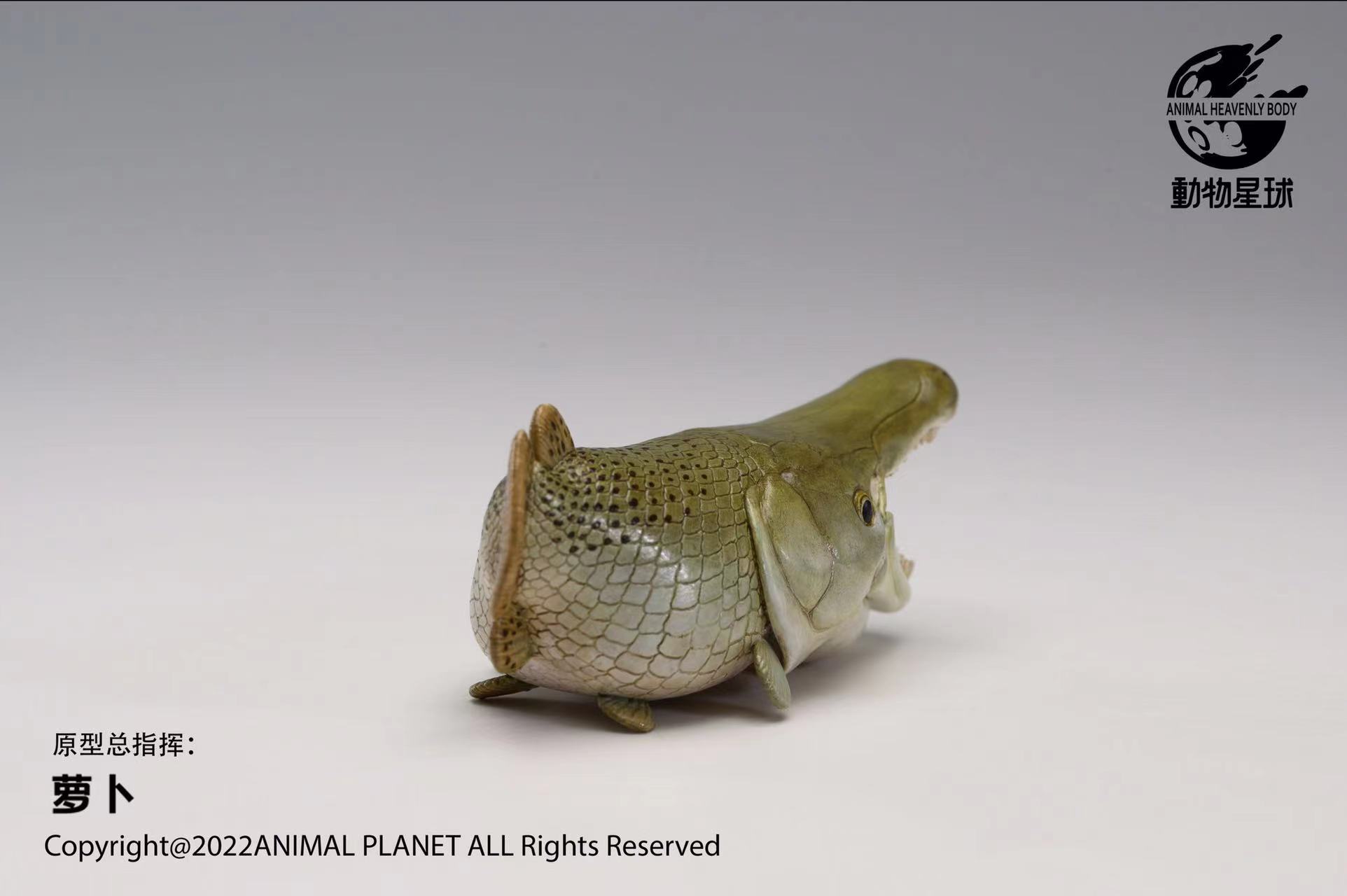 [สั่งจอง]Animal Planet : Alligator Gar