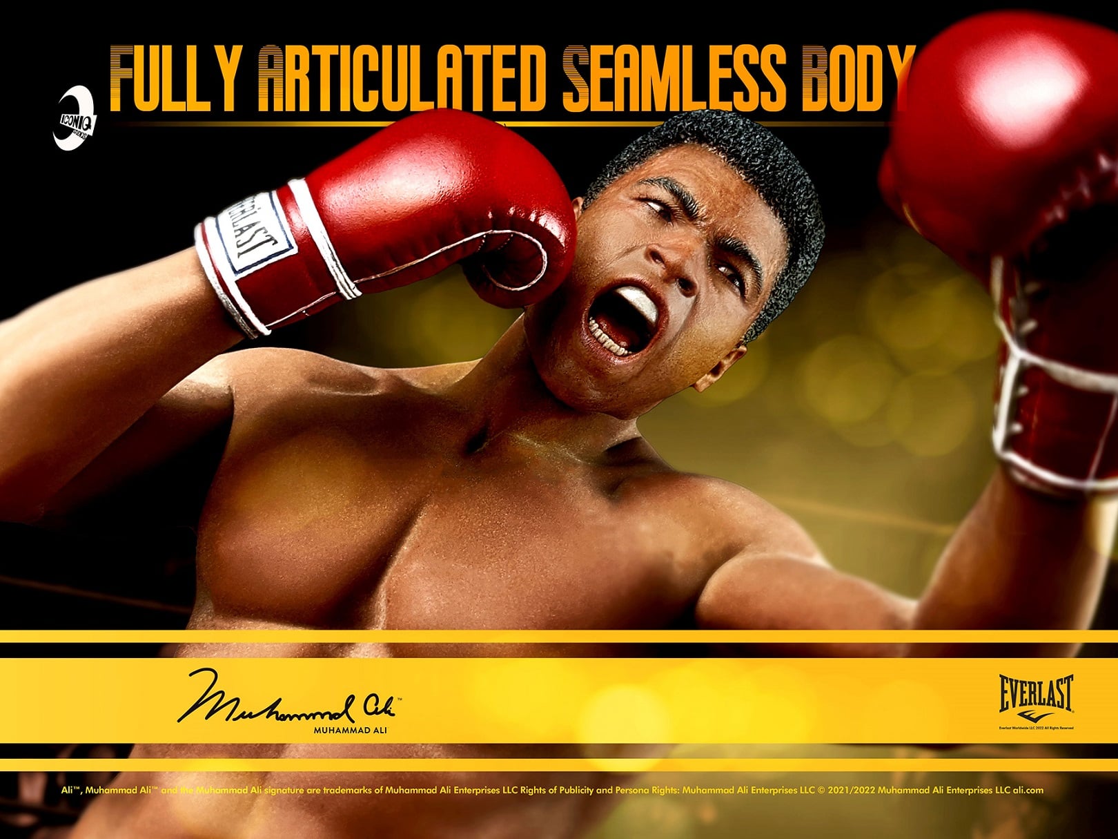 [พร้อมส่ง] Iconiq Studios 1/6 : Muhammad Ali IQLS01 มีให้เลือก 2 แบบ