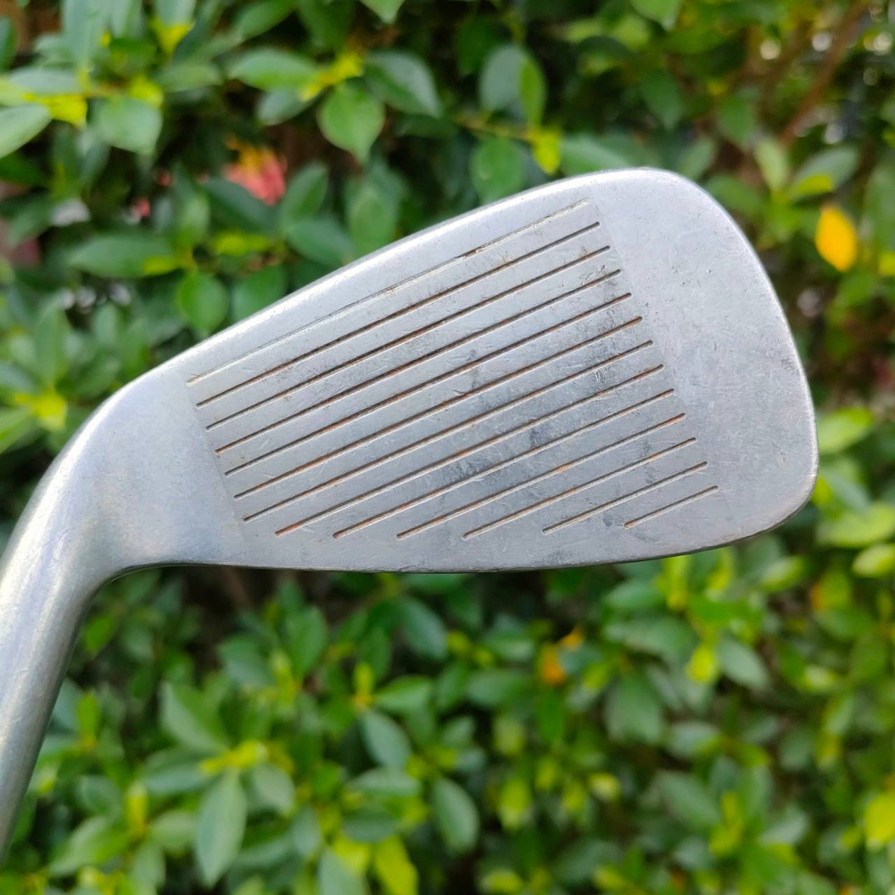 เหล็ก 4 PRGR CT-533 ก้าน STD-LENGTH M-37 EV-670T MADE IN JAPAN