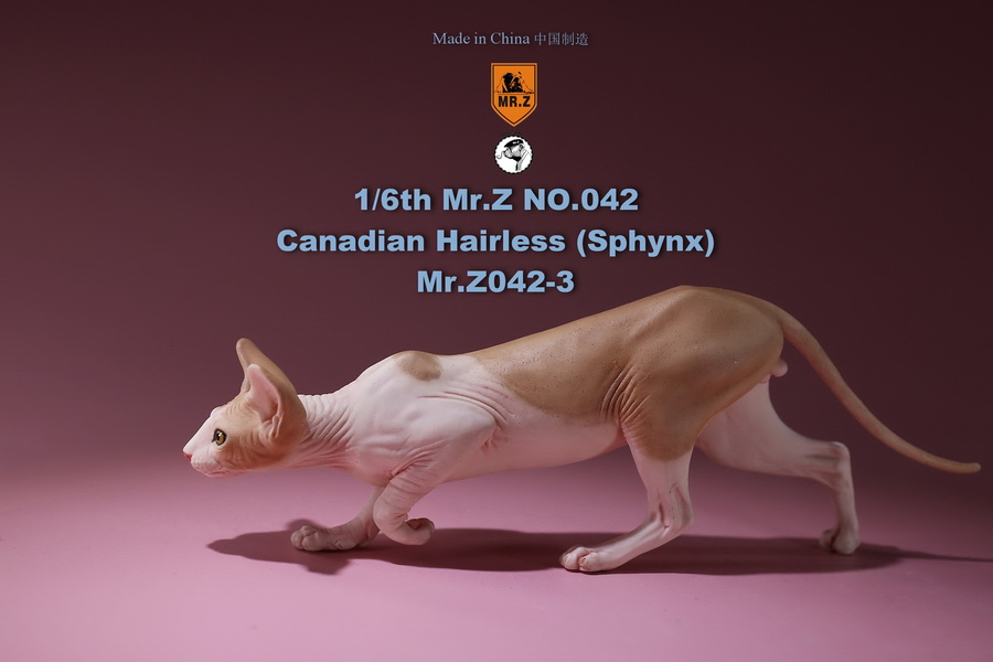 [สั่งจอง]แมวสฟิงก์ แมวน้อยขนกลับด้าน 1/6 Mr. Z Animal Model No.42: 1/6th Canadian Hairless (Sphynx)