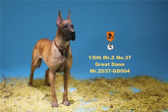 [สั่งจอง]Mr. Z Animal Model No.37: 1/6th The German Great Dane(all 6 colors)