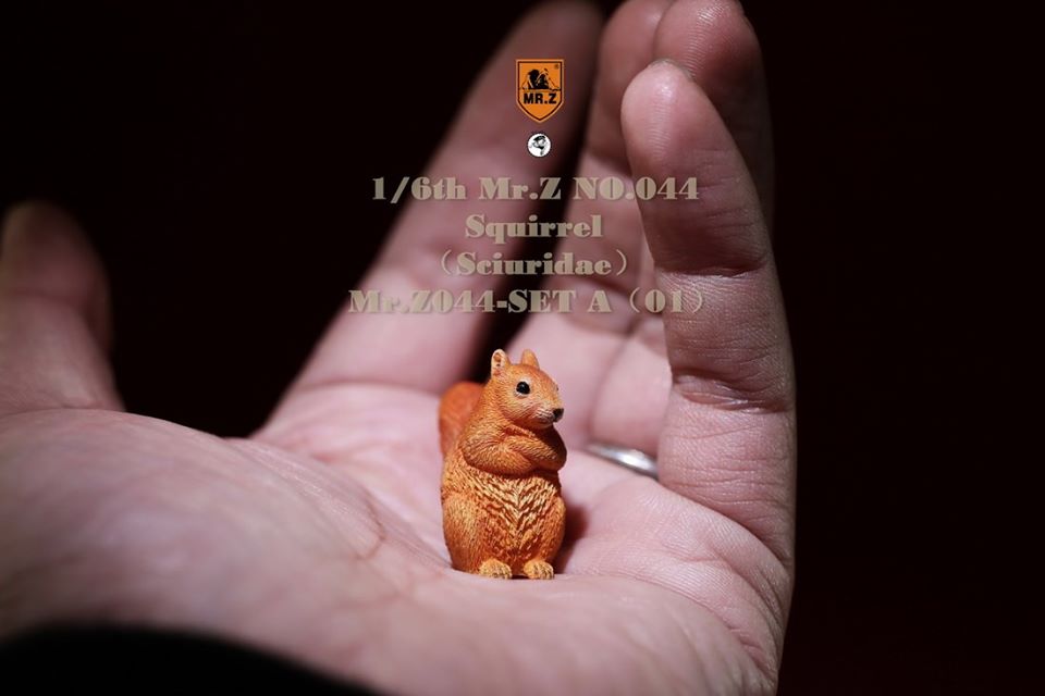 [สั่งจอง]Mr. Z Animal Model Mr.Z044 1/6th : Squirrell [Set A/B]