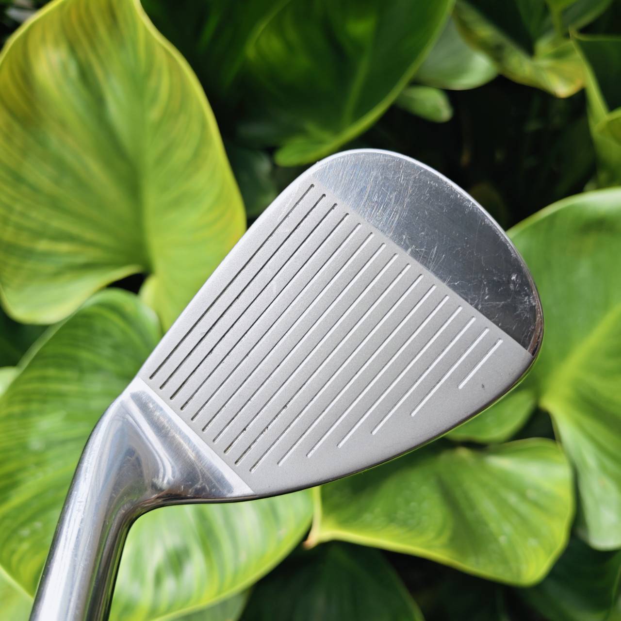 FULLSET GOSEN JAPAN V-SERIES ชุดพรีเมี่ยมญี่ปุ่น สุดคุ้ม! ได้หัวไม้ 4 ชิ้นจุกๆ ถุงกอล์ฟขาตั้ง