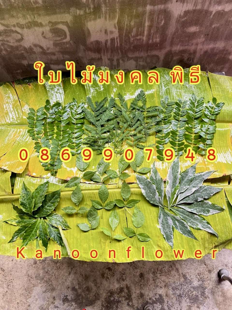 ใบไม้มงคลพิธี9อย่าง