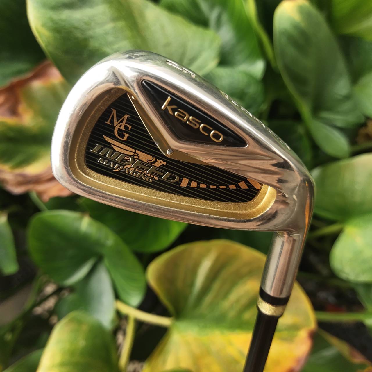 ชุดเหล็กหน้าเด้งมาก!!! KASCO INDEED MARAGING!!! ชุดพรีเมี่ยมสูงสุดของ KASCO ของใหม่ราคาแพงมากๆๆ ญี่ปุ่นแท้ หน้า MARAGING เด้งสุดขีด ตีไกลสุดขั้ว ตีง่ายก้านเบา ไม้กอล์ฟพรีเมี่ยมญี่ปุ่นมือสอง