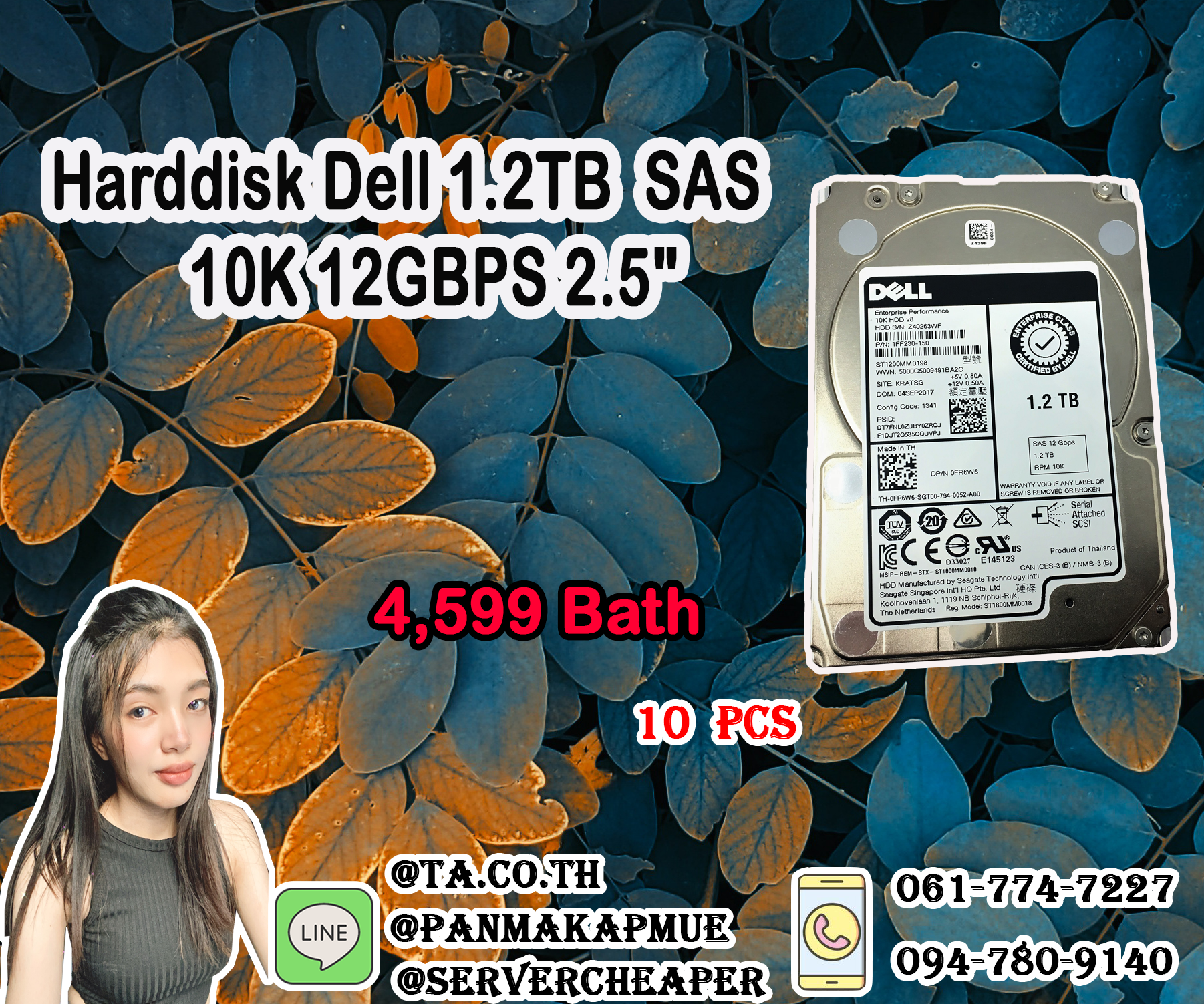 Harddisk Dell 1.2TB SAS 2.5