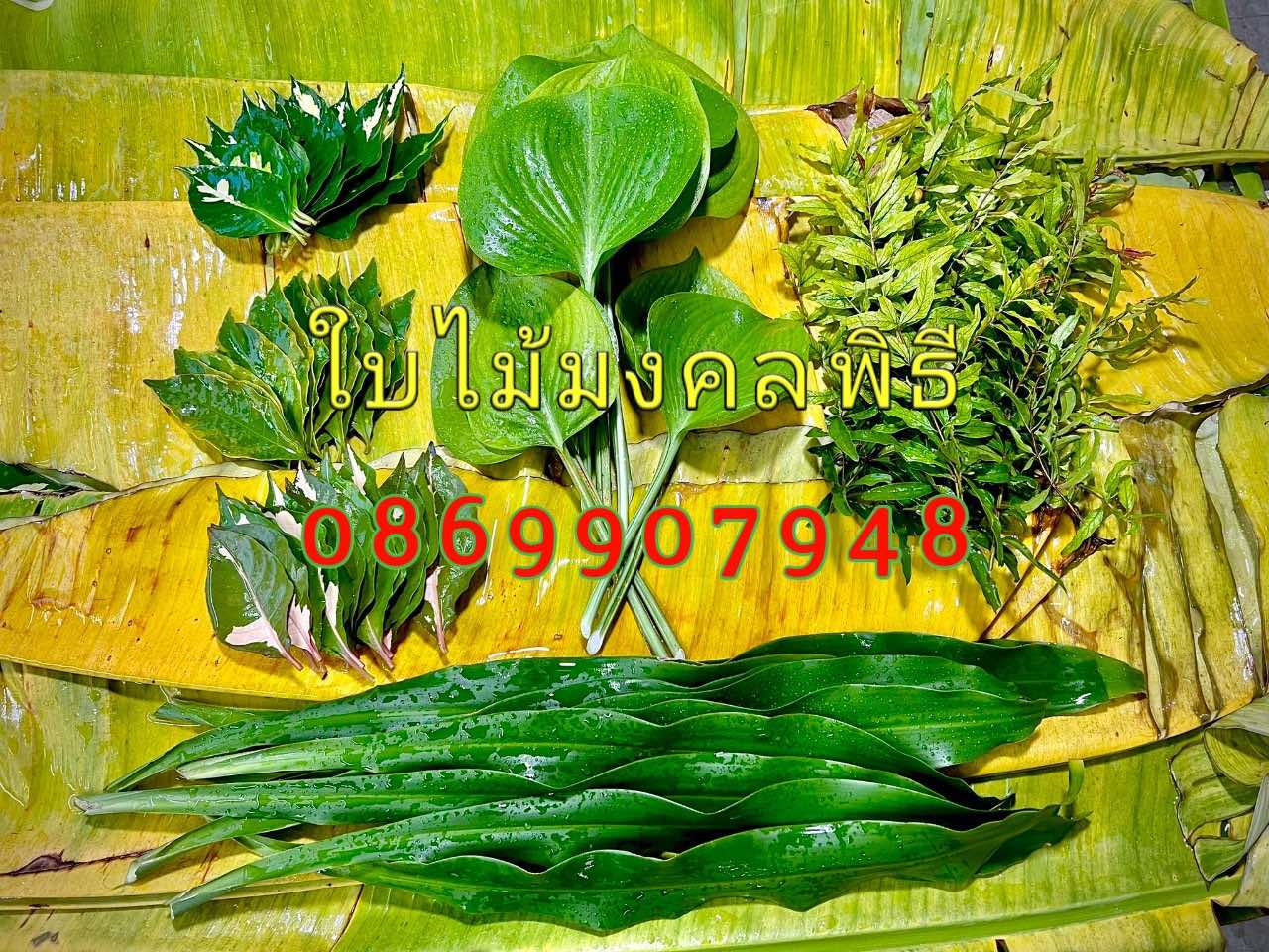 ชุดใบไม้มงคล ยกเสาเอก