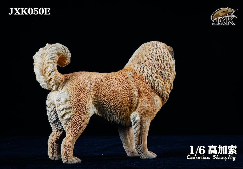 [สั่งจอง]JXK JXK050 1/6 : Caucasian Sheepdog
