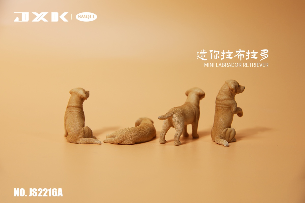 [สั่งจอง]JXK small : Mini