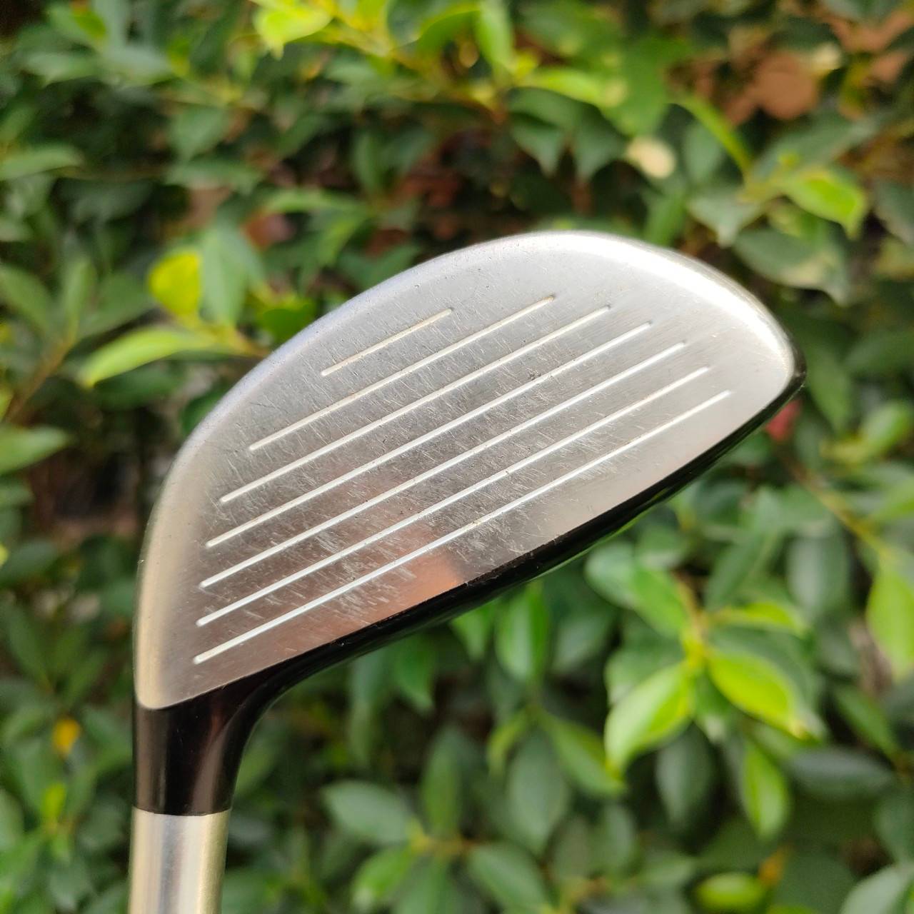 ** ไม้กอล์ฟสำหรับผู้หญิง** FW3 MIZUNO F 60 องศา 15 ก้าน EXSAR FS3 FLEX L MADE IN JAPAN คุณภาพพรีเมี่ยม