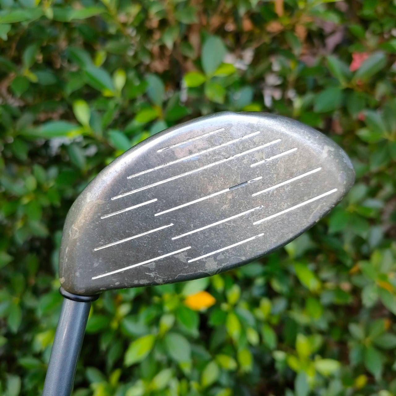 DRIVER CALLAWAY GREAT BIG BERTHA HAWK EYE องศา 9 ก้าน HAWK EYE FLEX FIRM
