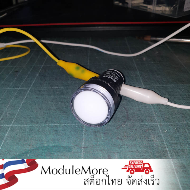 Pilot lamp สีขาว ขนาด 22 mm ไฟตู้คอนโทรล LED power led AD16-22D/S universal signal light