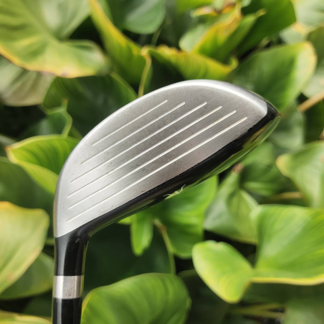 5W MIZUNO RV-03 ก้าน UST MAMIYA หน้าไม้บาง Ball Speed ดี ลูกพุ่ง สปินต่ำ