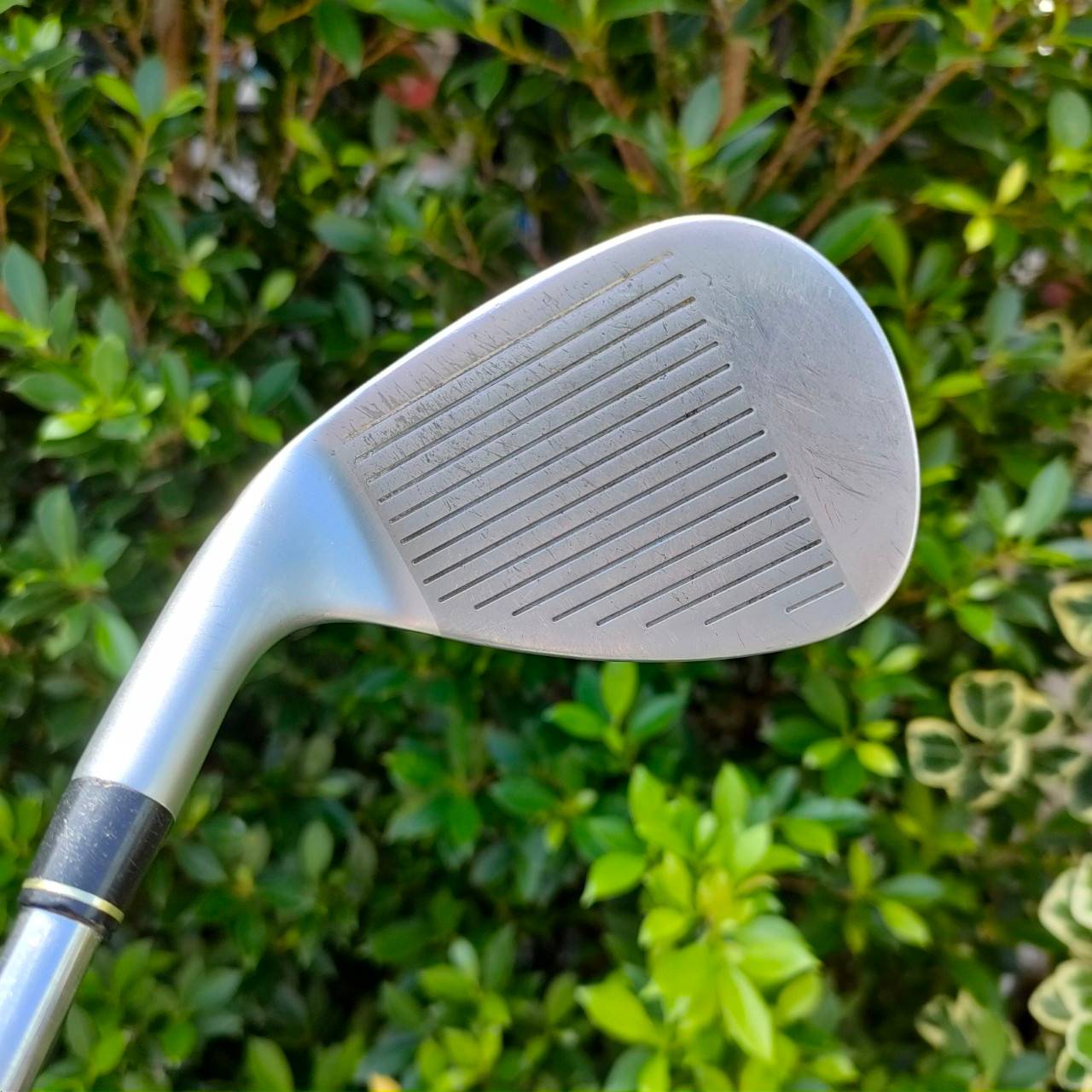 WEDGE TAYLORMADE R BLADEZ องศา 55 ก้าน ROCKETFUEL FLEX WEDGE หัวดีก้านดี ชิพง่าย มาก สอดมากๆครับ สปินดี นุ่ม ทรงเท่ สภาพงามครับ