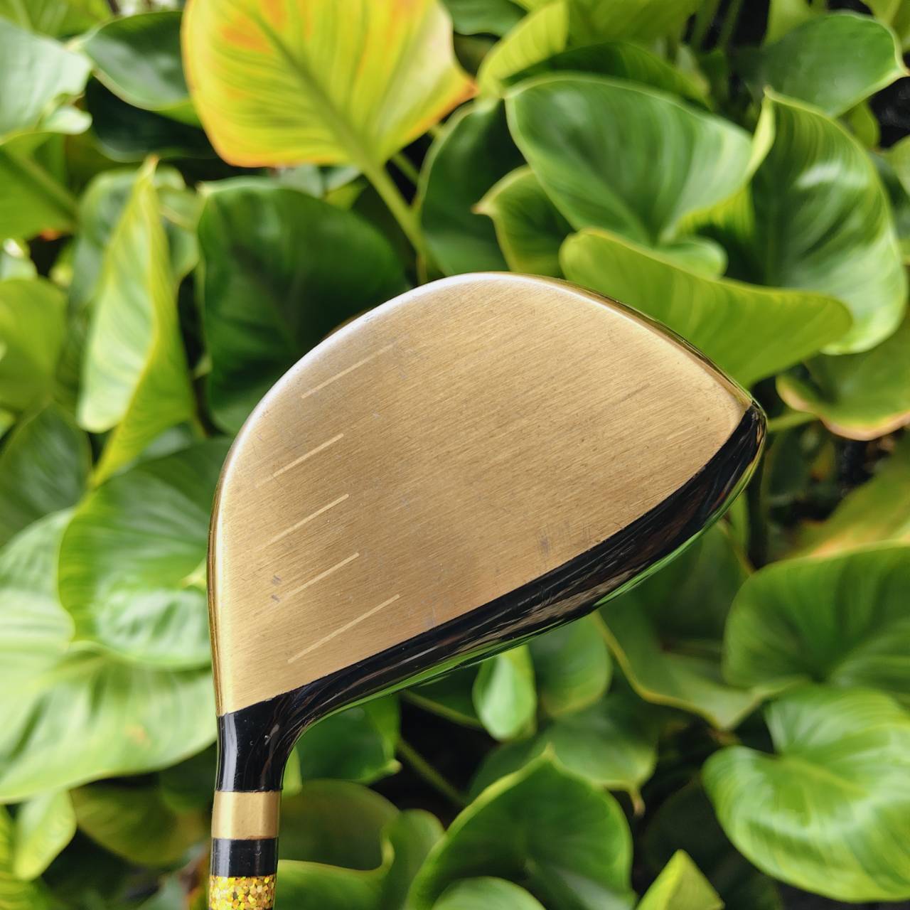 Driver Mutsumi Honma MH488X → High COR Face (หน้าเด้ง) ตีโดนตรงหรือขอบหน้าไม้ยังได้ระยะใกล้เคียงกัน