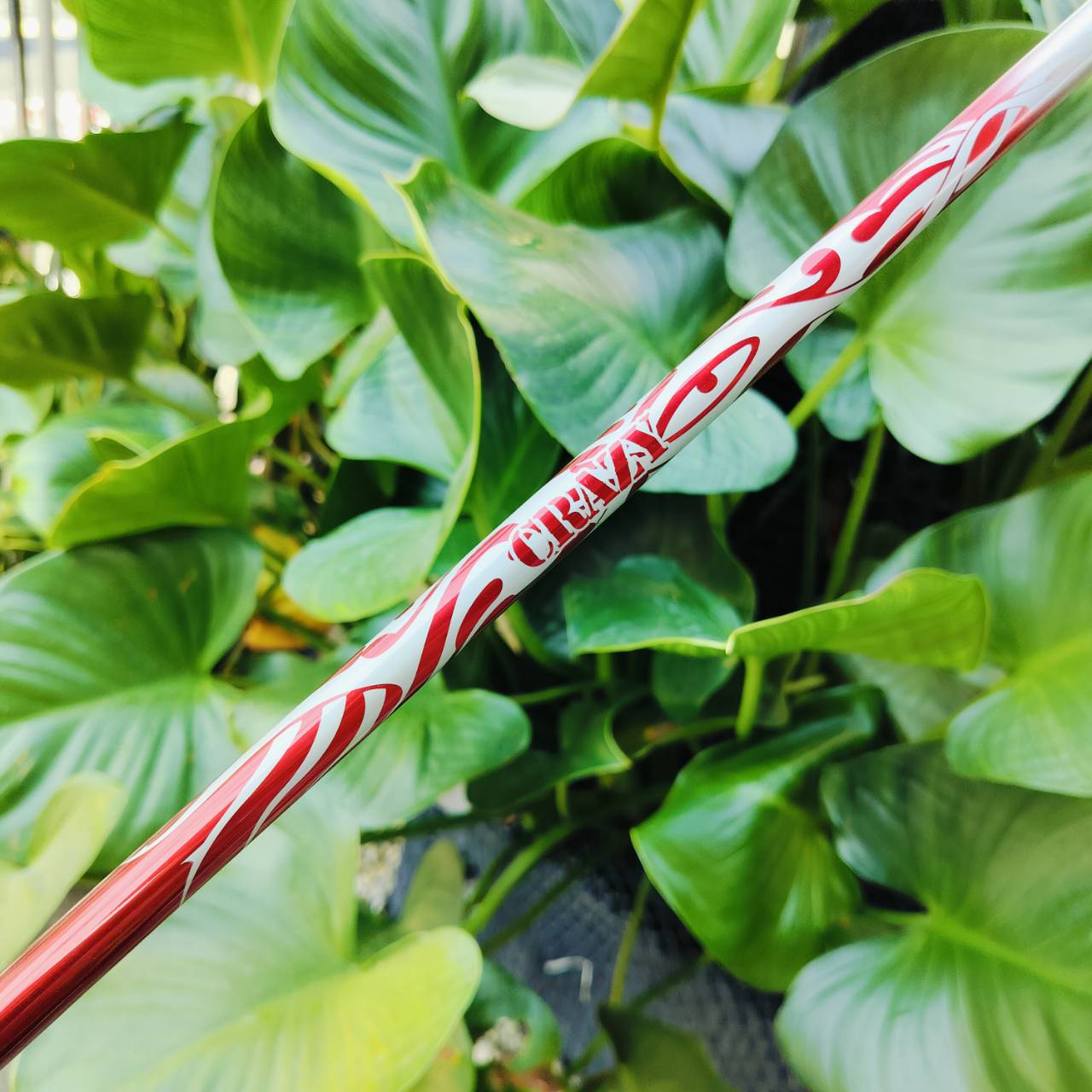 Driver Callaway GBB EPIC STAR องศา 9.5 มากับก้านอันดับ 1 ของญี่ปุ่น Crazy TYPE-A FLEX S ก้านหมื่นกว่าบาท แค่ก้านอย่างเดียวก็เกินคุ้มแล้วค่ะ ไม้กอล์ฟพรีเมี่ยมมือสอง ของแท้ By NakaraLuxurious