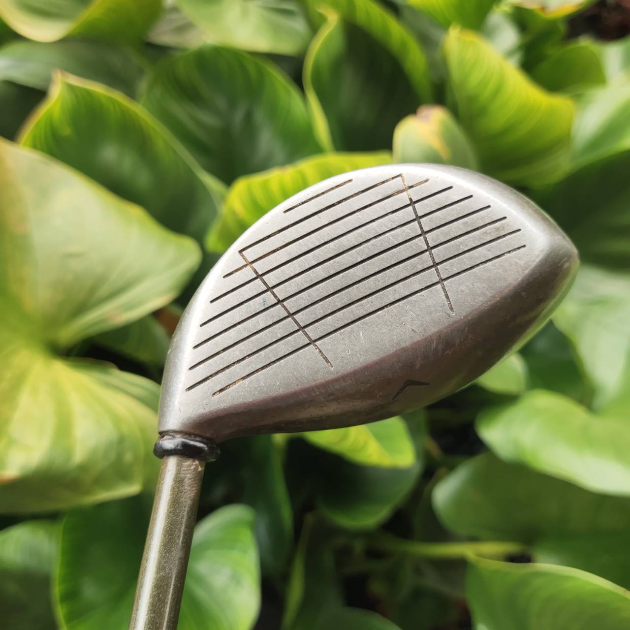 หัวไม้ 2 Callaway BIGBERTHAR ตีไกลมากกว่าหัวไม้ 3 มากค่ะ ใช้ทีออฟในหลุมที่ FW แคบก็ได้